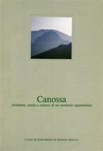 Canossa. Ambiente, storia e cultura di un territorio appenninico