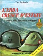 L' erba cresce d'estate