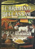 Il bramino dell'Assam