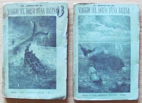 Viaggio Sul Dorso D'una Balena - Vol. I E Ii Completo - A. F. T. Brown - copertina