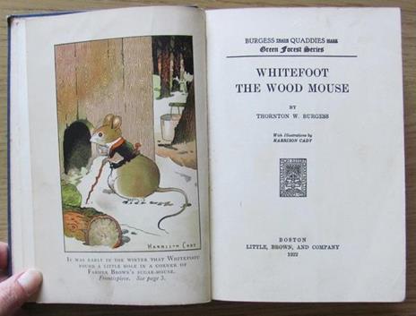 Whitefoot The Wood Mouse - W. Thornton Burgess - 6