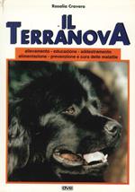 Il Terranova