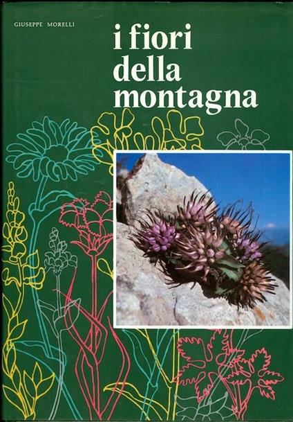 I fiori della montagna: iconografia fotografica - Giuseppe Morelli - copertina