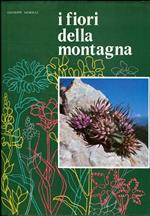 I fiori della montagna: iconografia fotografica