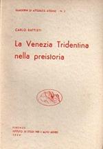 La Venezia Tridentina nella preistoria