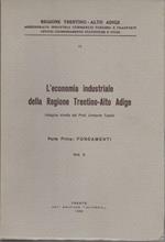 L' economia industriale della regione Trentino-Alto Adige: Parte Prima: Fondamenti vol. I