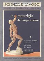 Sistema nervoso periferico e gli organi dei sensi. Quaderni di divulgazione scientifica 5