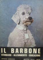 Il barbone: standard, allevamento, educazione