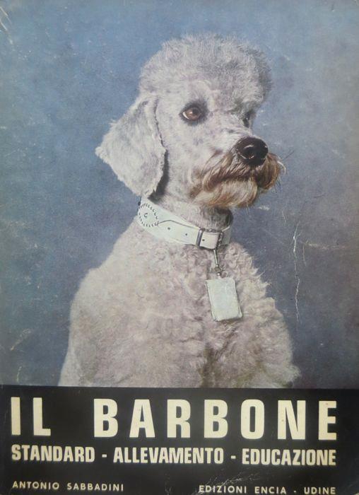 Il barbone: standard, allevamento, educazione - Antonio Sabbadini - copertina