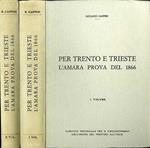 Per Trento e Trieste: l’amara prova del 1866. Storia politico-militare del 1866, con particolare riguardo alla spedizione Medici nella Valsugana