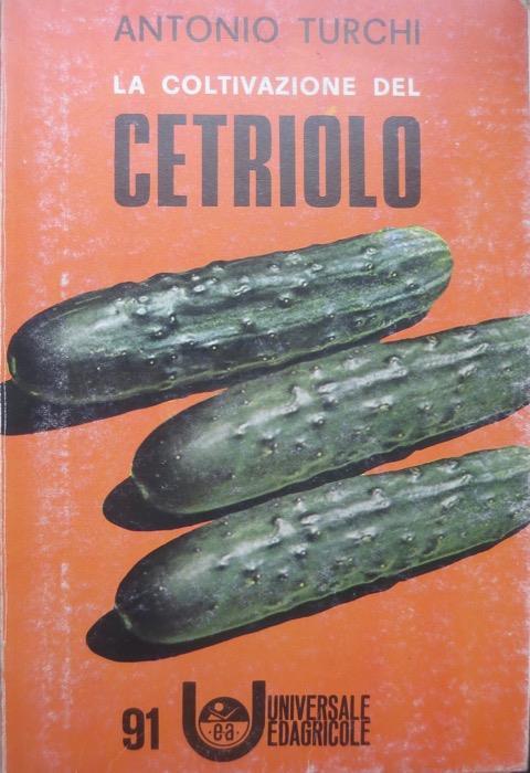 La coltivazione del cetriolo - Antonio Turchi - copertina