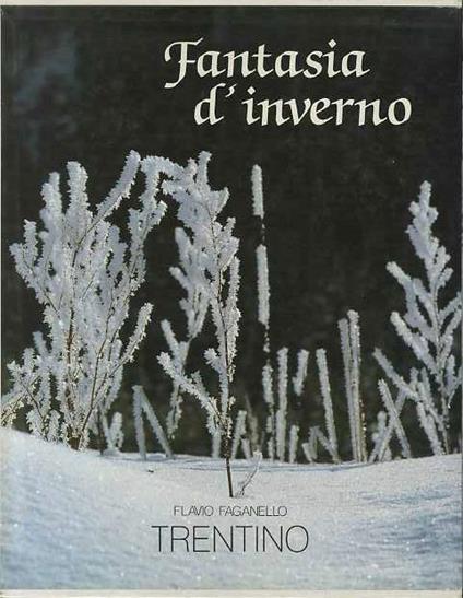 Trentino: fantasia d’inverno. Testi di Verena Faganello - progetto grafico ed organizzazione Dario Scarpa - Flavio Faganello - copertina