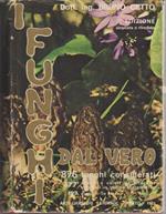 I funghi dal vero: 876 funghi considerati, 377 specie a colori da fotocolor originali in ordine sistematico, 192 disegni in nero