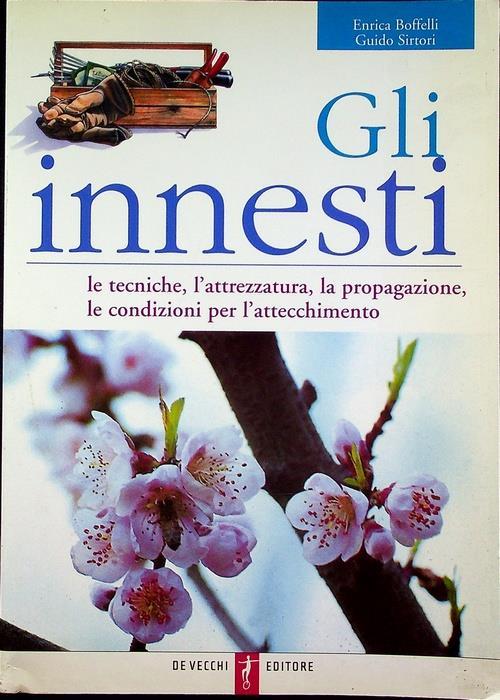 Gli Innesti - Enrica Boffelli - copertina