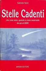 Stelle cadenti: Che cosa sono, quando e come osservarle da qui al 2000