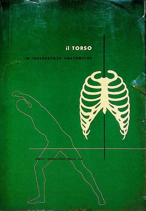 Il torso in trasparenze anatomiche - copertina