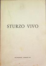 Sturzo vivo: Caltagirone, 8 maggio 1971