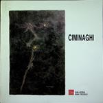 Virginio Ciminaghi: 12 gennaio-12 febbraio 1989