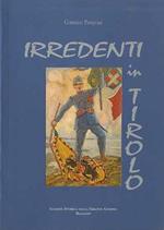 Irredenti in Tirolo: miscellanea di fatti, processi, azioni belliche, diari, spionaggio, fughe connessi alla guerra 1914-1918 nella regione tridentina. Con il contributo della Provincia autonoma di Bolzano