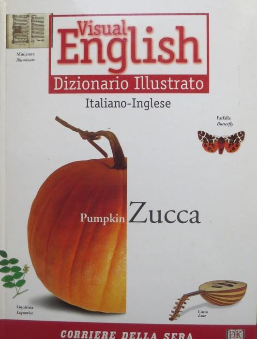 Visual English: dizionario illustrato italiano-inglese, inglese-italiano -  Libro Usato - Corriere della Sera - | IBS
