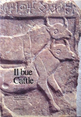 Il bue Cattle - copertina