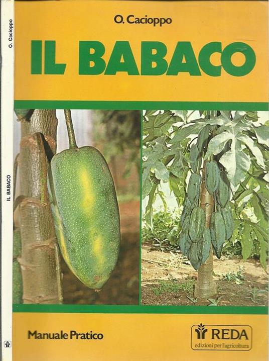 Il Babaco - O. Cacioppo - copertina