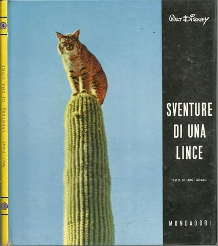 Sventure Di Una Lince - copertina