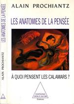 Les Anatomies De La Pensee. A Quoi Pensent Les Calamars?