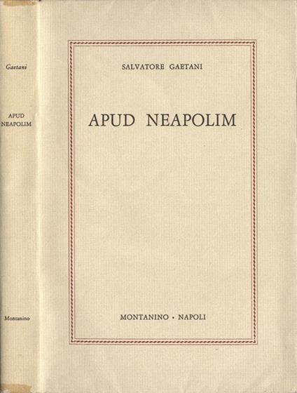 Apud Neapolim - Salvatore Gaetani - copertina