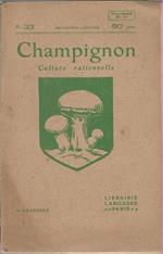 Champignon Culture Rationnelle