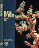 La Vita Nel Mare