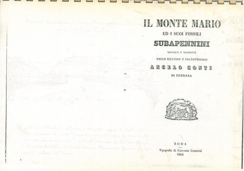 Il Monte Mario ed i suoi fossili subapennini - Angelo Conti - copertina