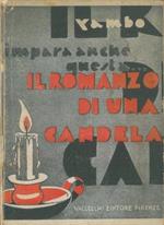 Il romanzo di una candela stearica