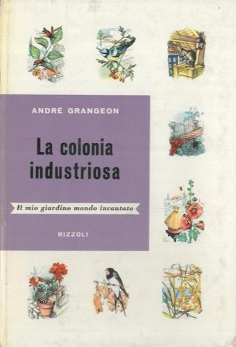 Il mio giardino mondo incantato. I. La colonia industriosa. L'ape. La formica. Il baco da seta. La lucciola. Il grillo. La chiocciola II. Ranocchietto, libellula & c. Il ragno la libellula la rana la cicala il lombrico la lucertola III. Farfallett - André Grangeon - copertina