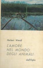 L' amore nel mondo degli animali