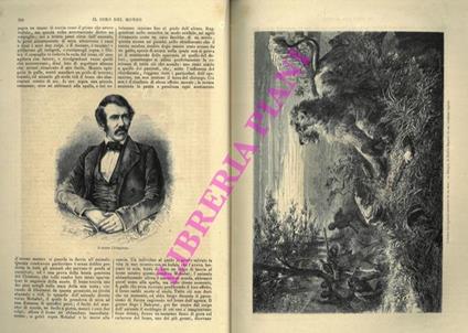 L' Africa Australe. Primi viaggi del Dr. Livingstone - David Livingstone - copertina