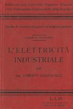 L' elettricità industriale