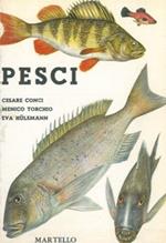 Pesci