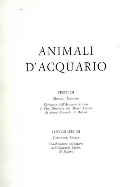 Animali d'acquari - Menico Torchio - copertina