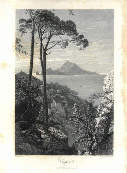 Capri - Krausse Fenn - copertina