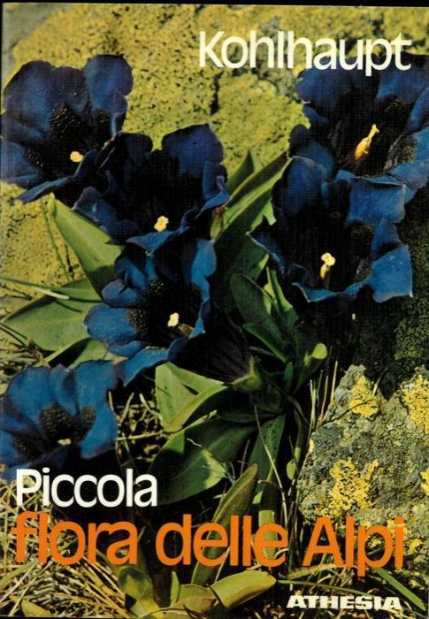 Piccola flora delle Alpi - Paula Kohlhaupt - copertina