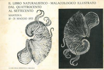 Il libro naturalistico-malacologico illustrato dal '400 al '700 - Giancarlo Schizzerotto - copertina