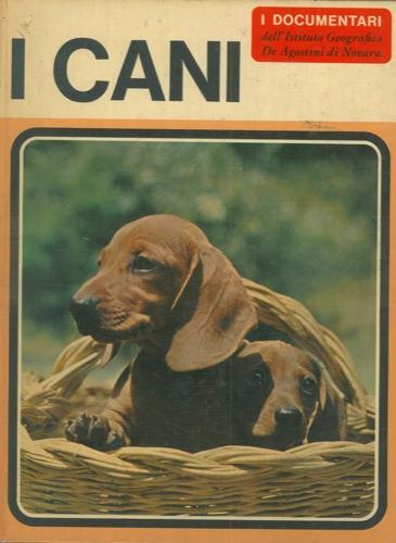 I cani - Adriano Torregrossa - copertina