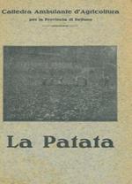 La patata