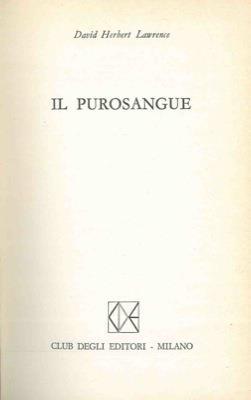 Il purosangue - David Herbert Lawrence - copertina