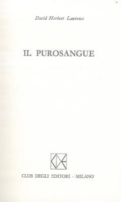 Il purosangue - David Herbert Lawrence - copertina