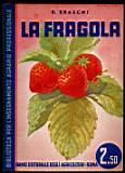 La Fragola - Bruno Braschi - copertina