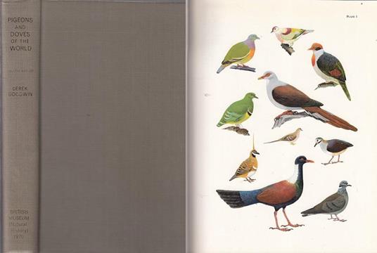 Pigeons Doves of World - Derek Goodwin,Robert Gillmor - 3