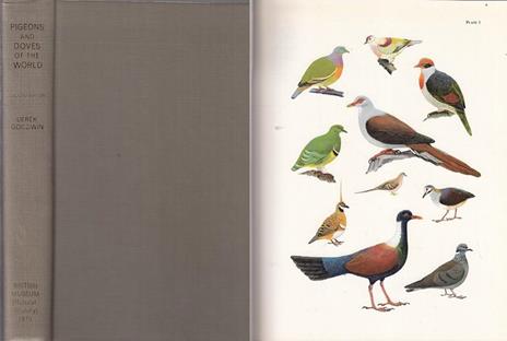 Pigeons Doves of World - Derek Goodwin,Robert Gillmor - 2