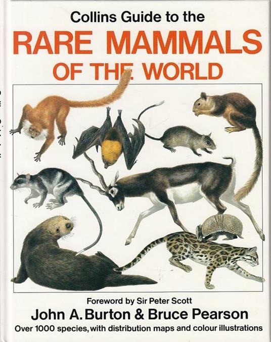 Rare Mammals of the World Guide - John A. Burton,Bruce Pearson - 3